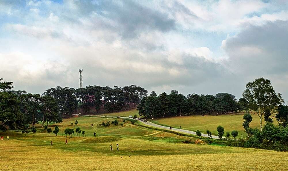 Shillong Golf Course: Get the Detail of Shillong Golf Course on TimesTravel
