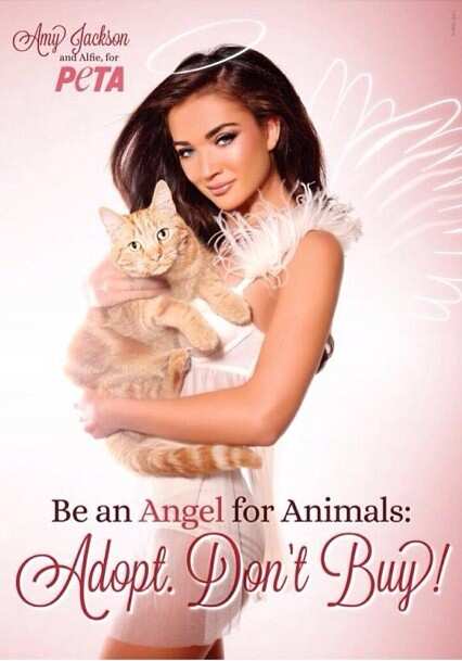 Amy Jackson to be PeTA's new Ambassador | Tamil Movie News - Times of India Amy Jackson to be PeTA's new Ambassador | Tamil Movie News - Times of India