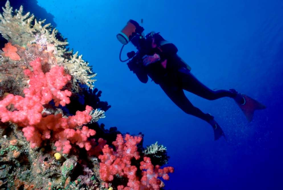 Scuba Diving at the Fiji Islands