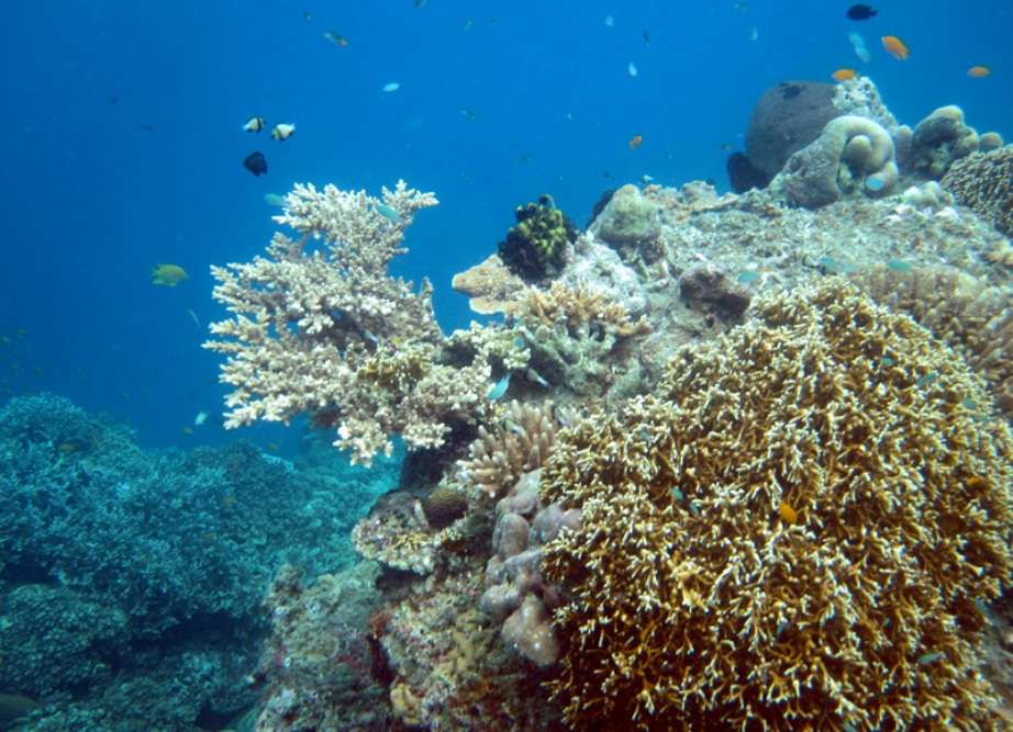 North Bay Beach, Port Blair