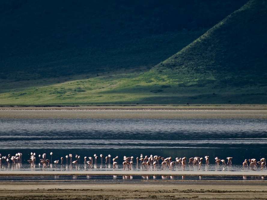 Ngorongoro Crater Wildlife Safari