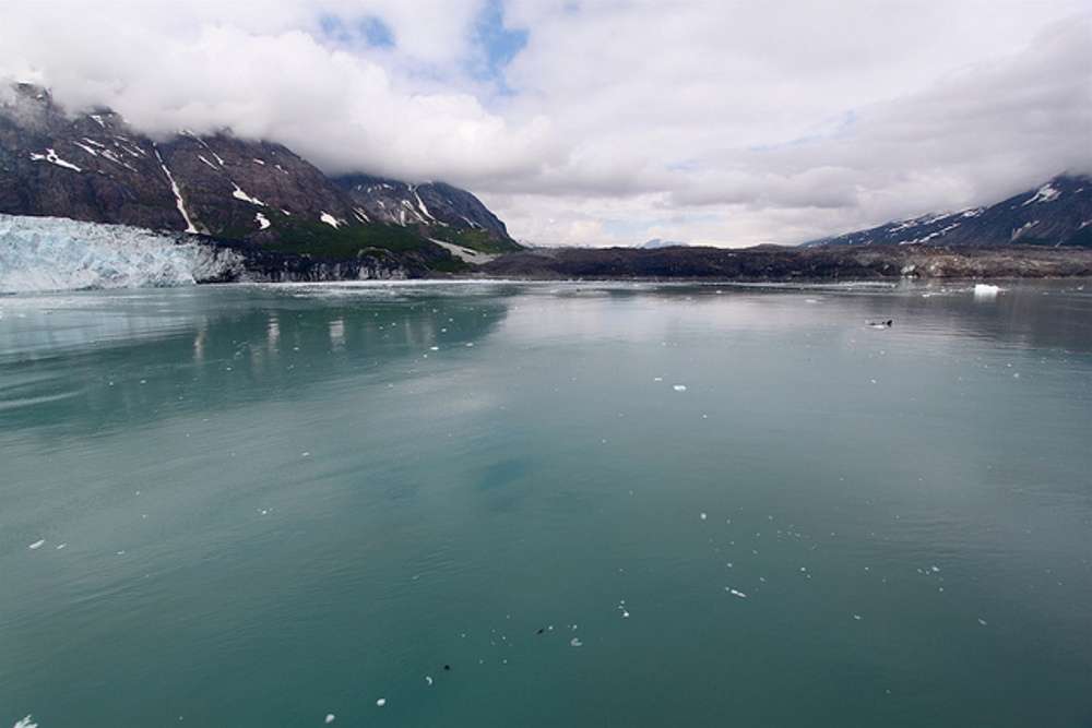 Grand Pacific and Margerie Glaciers