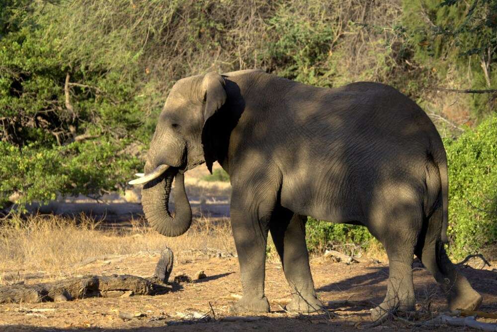 Skeleton Coast Flying Safari