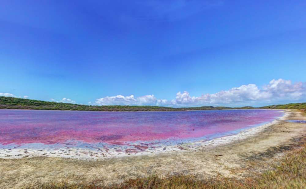 Lake Retba looks like a giant strawberry shake