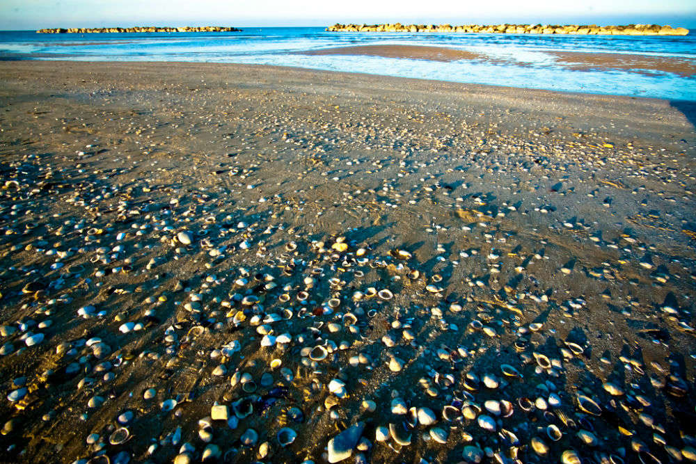 Amazing shell beaches around the world