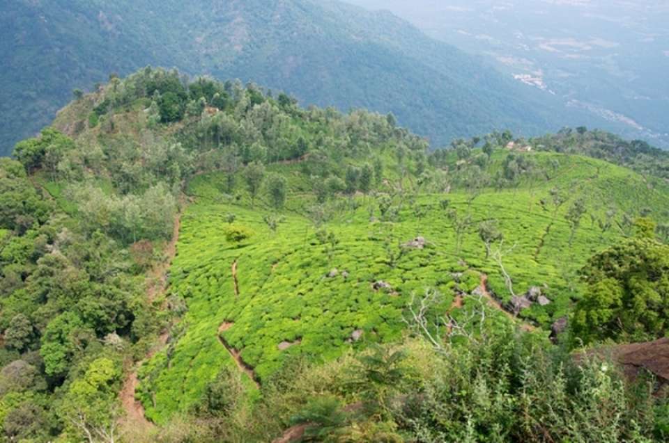 Enjoying the outdoors in Coonoor