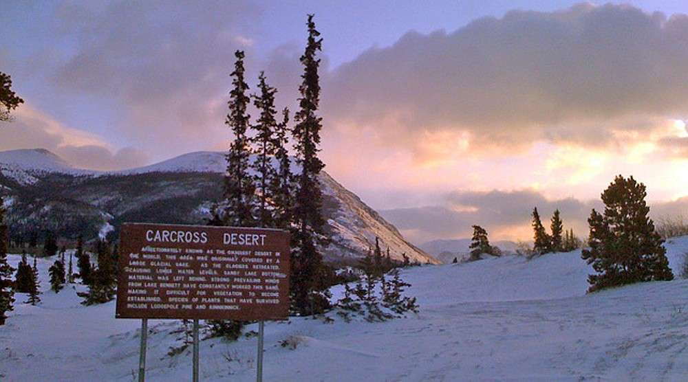 Carcross Desert