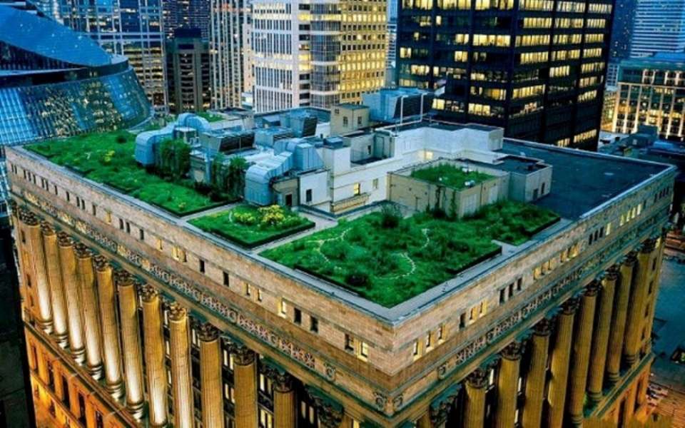 Chicago City Hall rooftop garden