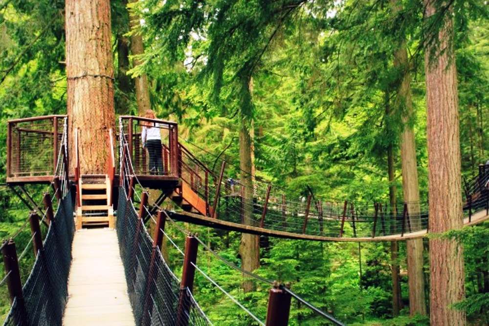 Canada—experiencing the sacred forest in Vancouver