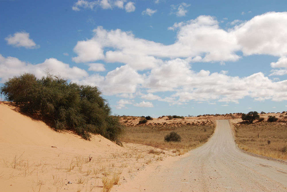 Kalahari Desert