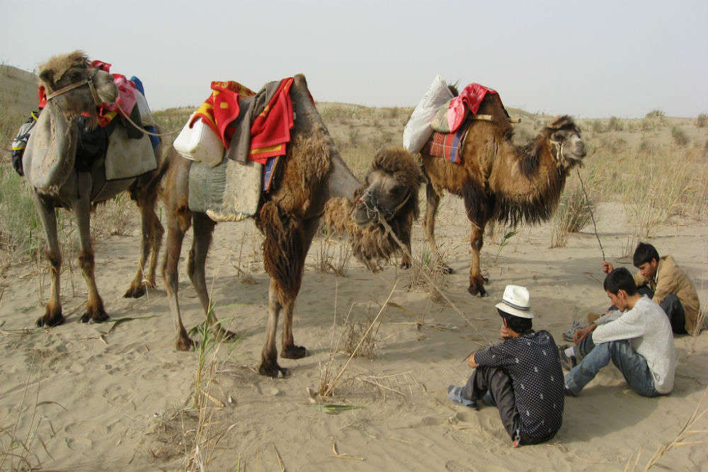 Taklamakan Desert