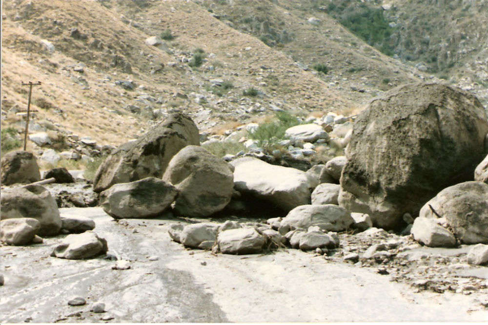 Wadi al Gamal Nature Reserve