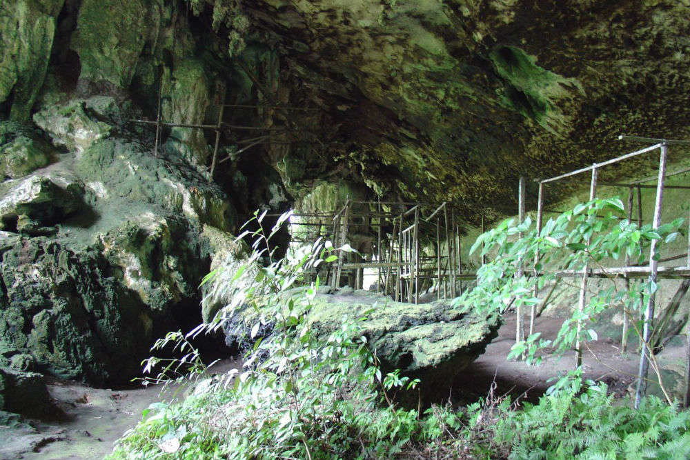 Niah Caves