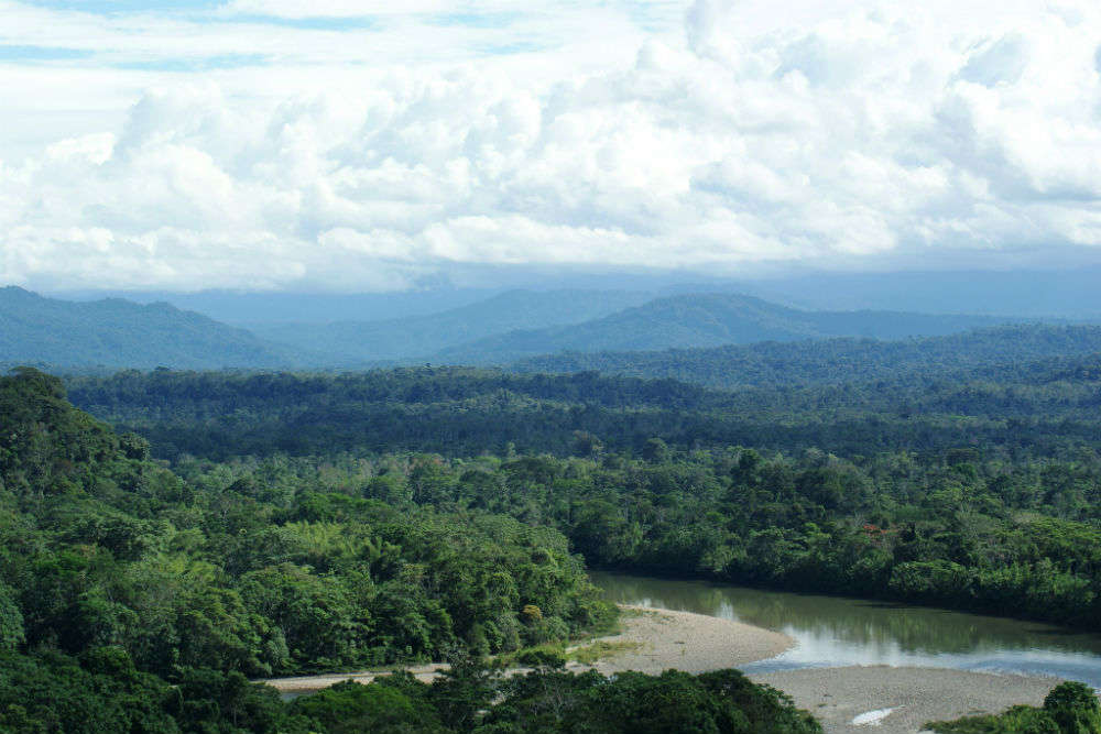 Ecuador's Cloud Forests
