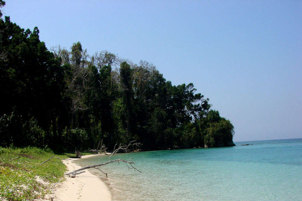 Marine National Park In Andaman And Nicobar Islands Times Of India Travel