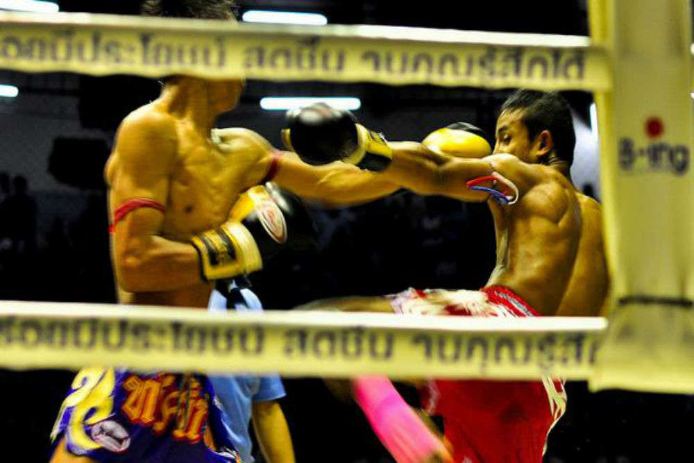 See a Muay Thai boxing match