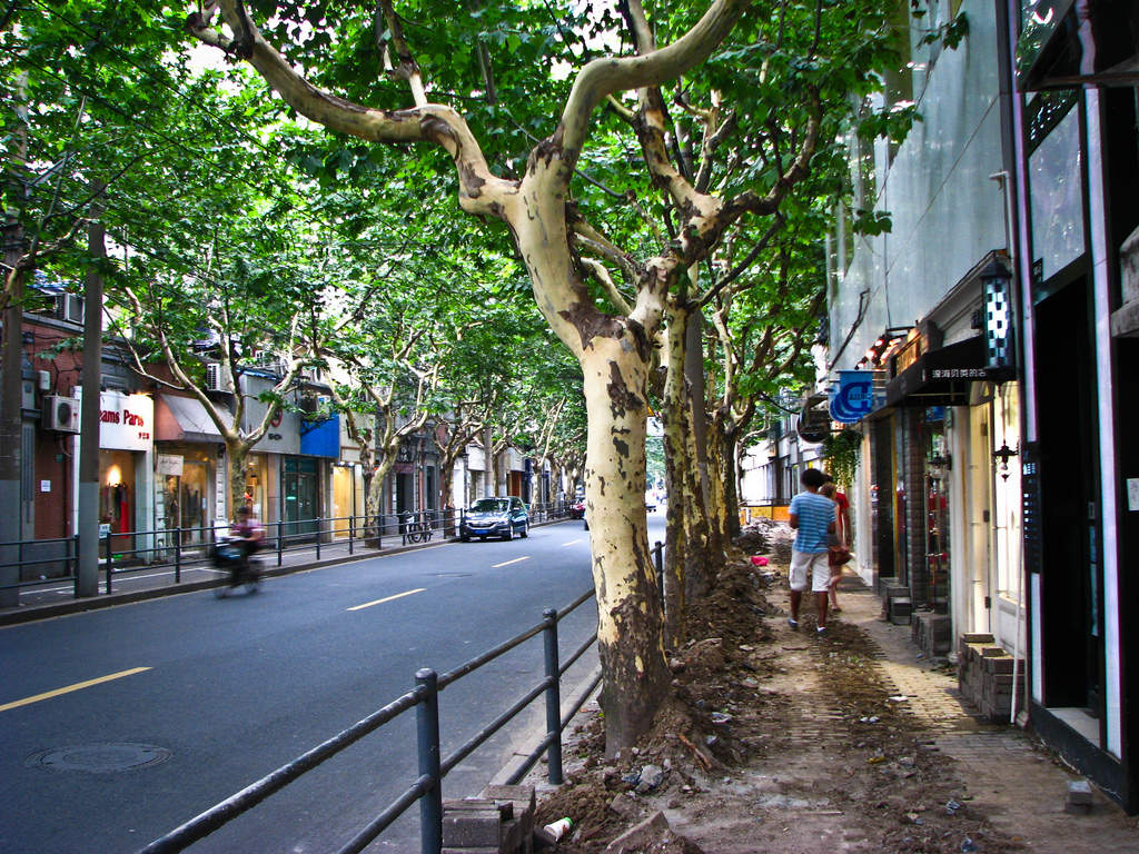 French Concession Shopping