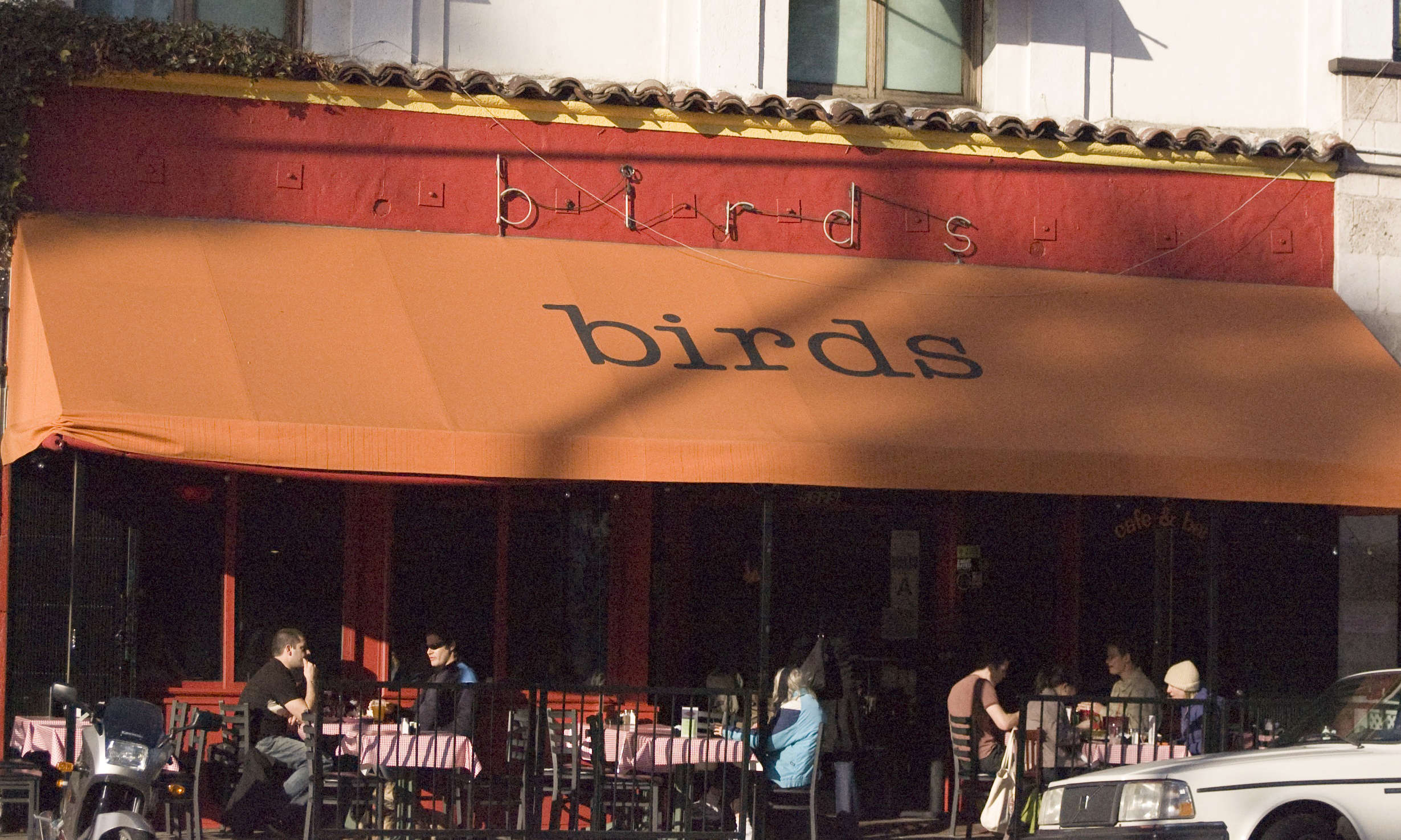 Birds Café
