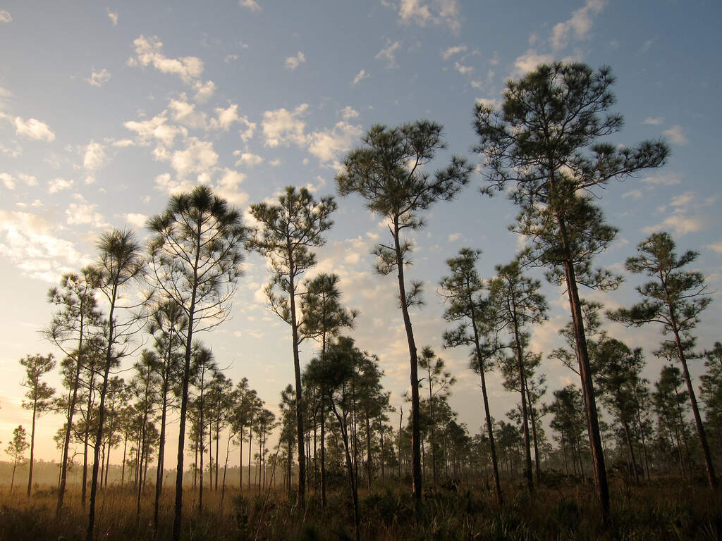 Everglades National Park