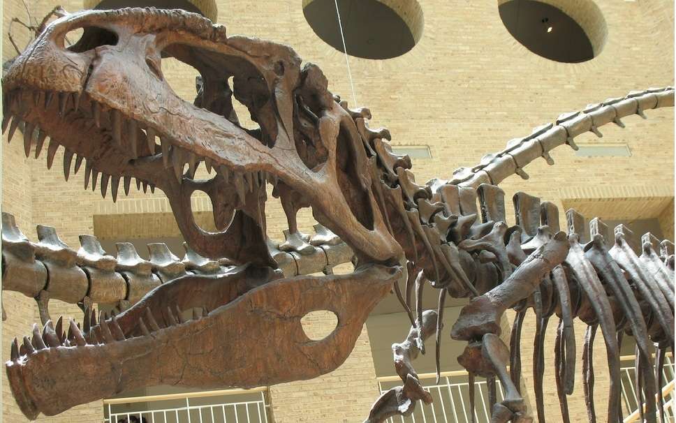 Fernbank Museum of Natural History and Science Center