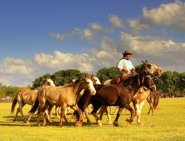 Visit an estancia