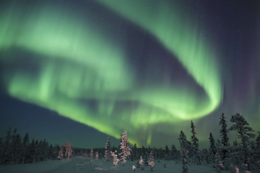 Lapland holidays: what to see and do