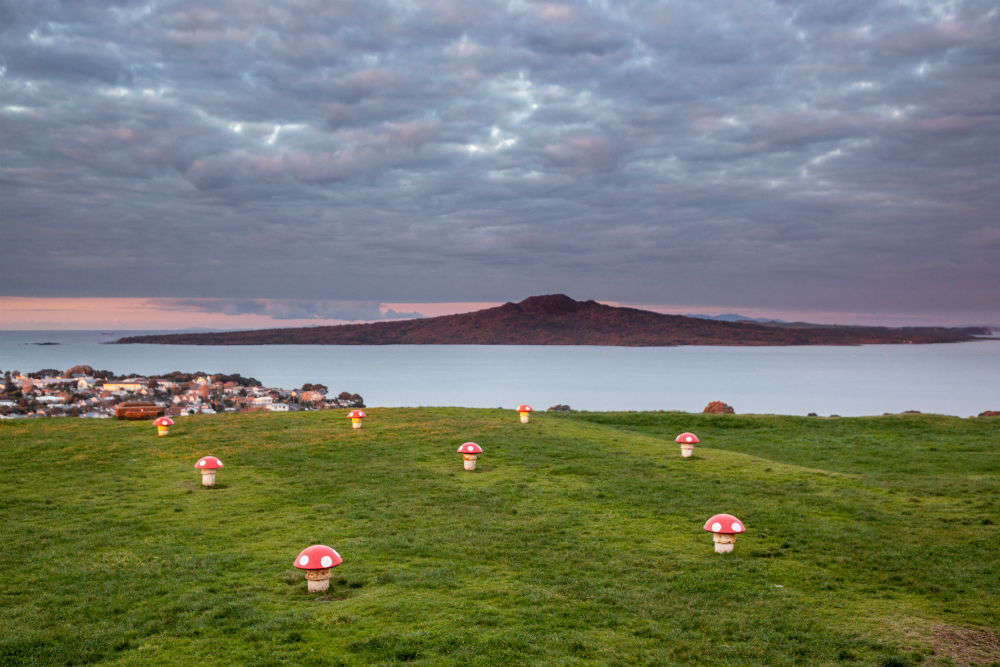 Auckland—the city of volcanoes