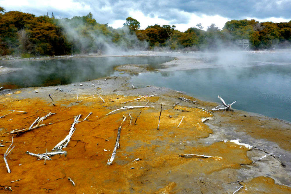 Rotorua's geothermal and adventure activities