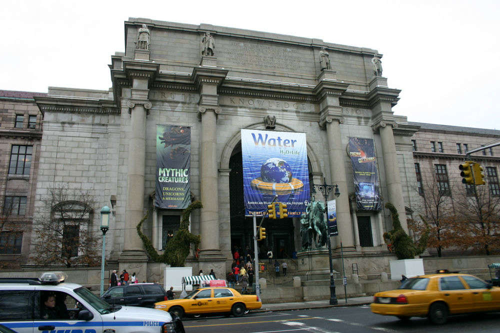 Night at the Museum in NYC