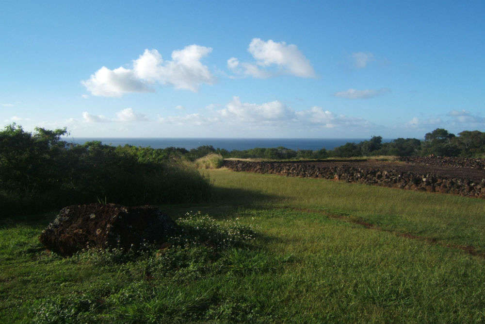 Pu'u o Mahuka Heiau State Historic Site
