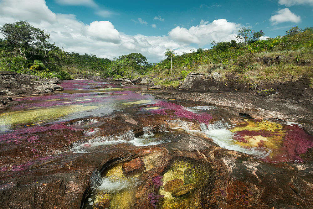 Cano Cristales—the river of five colours