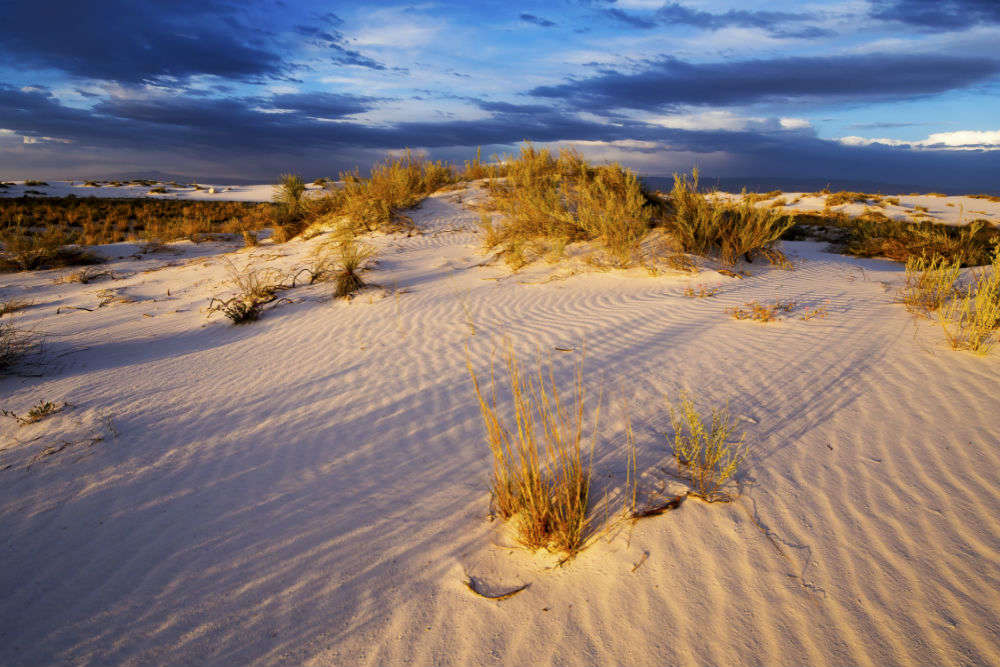 White Sands Desert