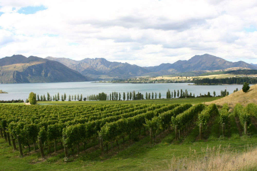 The best vineyards in and around Queenstown