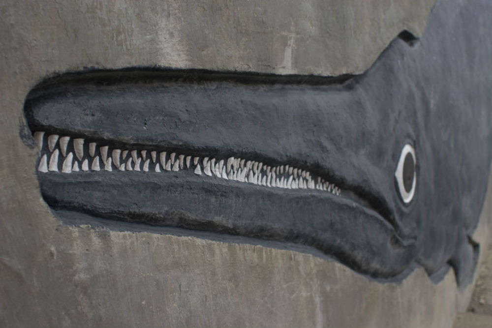 The largest intact ichthyosaur skeleton in the US was found in Nevada