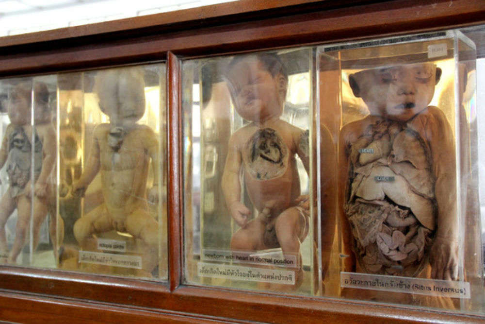 Bangkok Forensic Museum