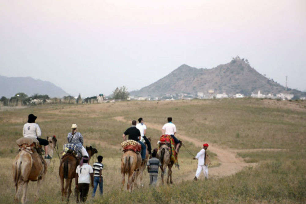 Take the Camel Safari