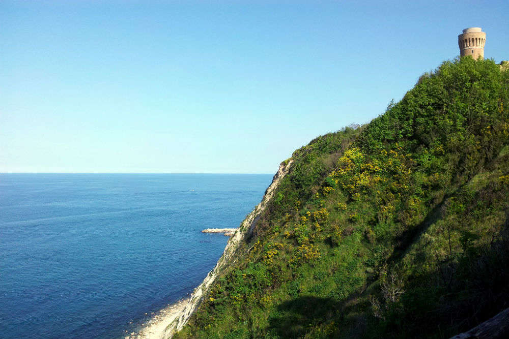 Visit an Olive Grove in Ancona