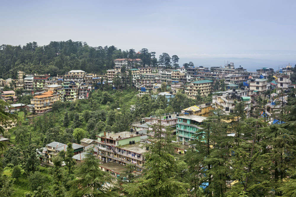 Dharamsala-Mcleodganj Travel Guide