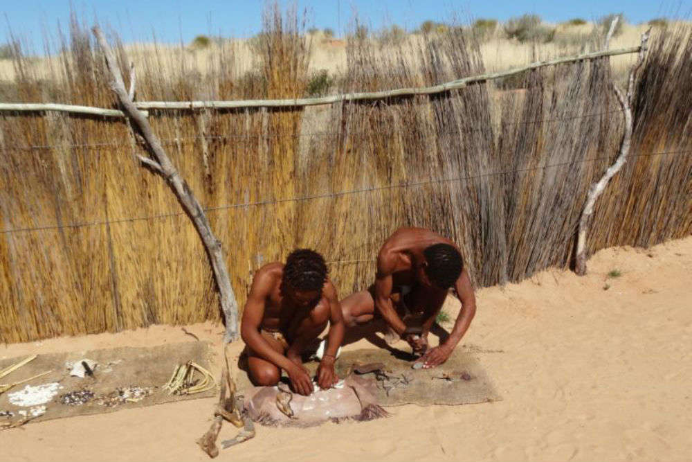 Kgalagadi Transfrontier Park