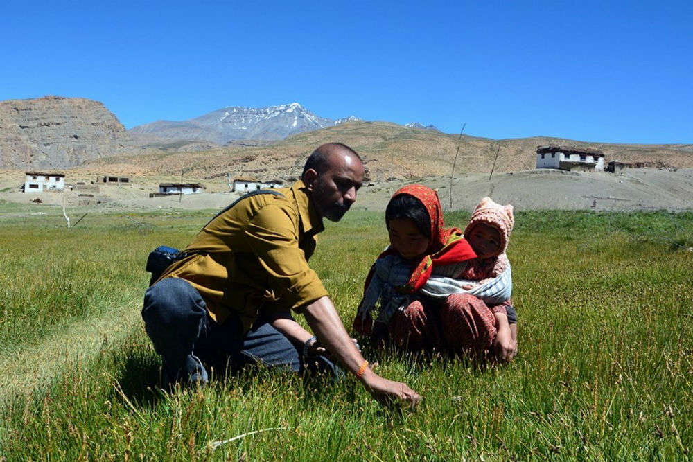 Collect sea fossils near Langza