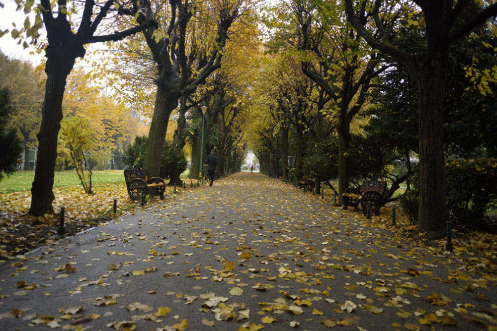 Parks in Bucharest
