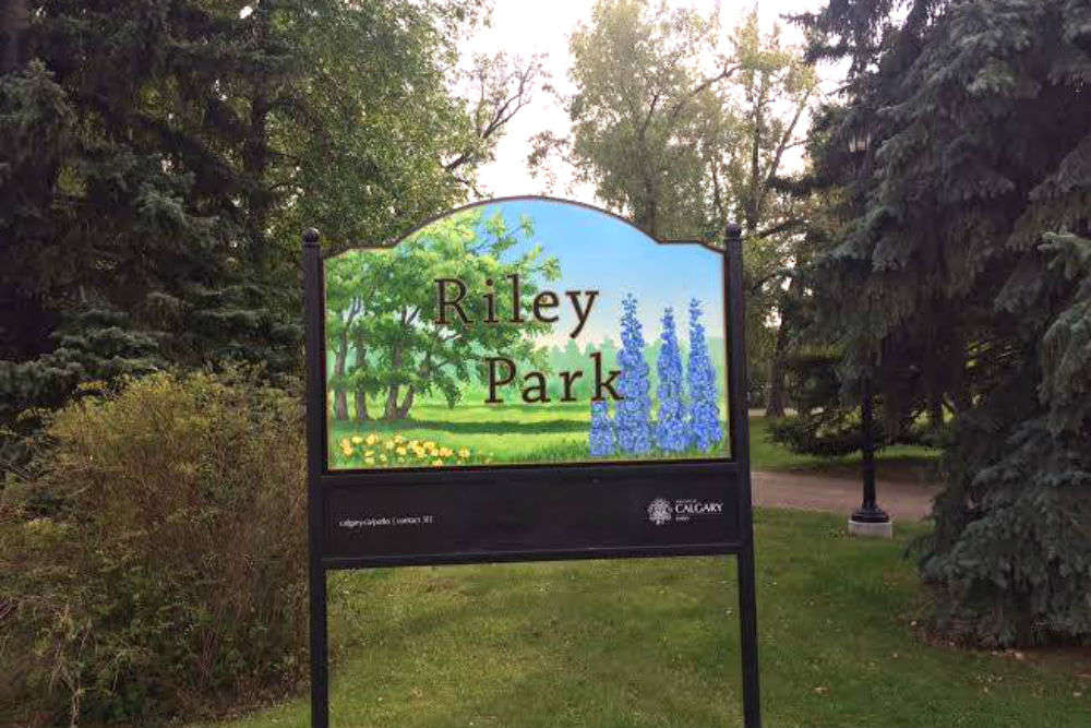 Riley Park Playground
