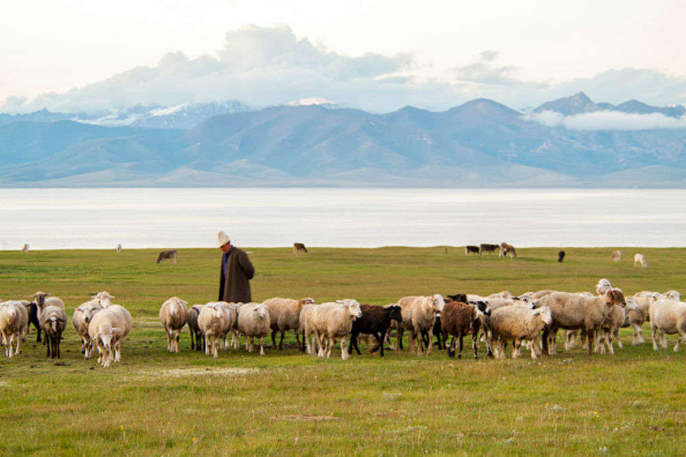 Off-road drive to Song Kul: where the blue beckons