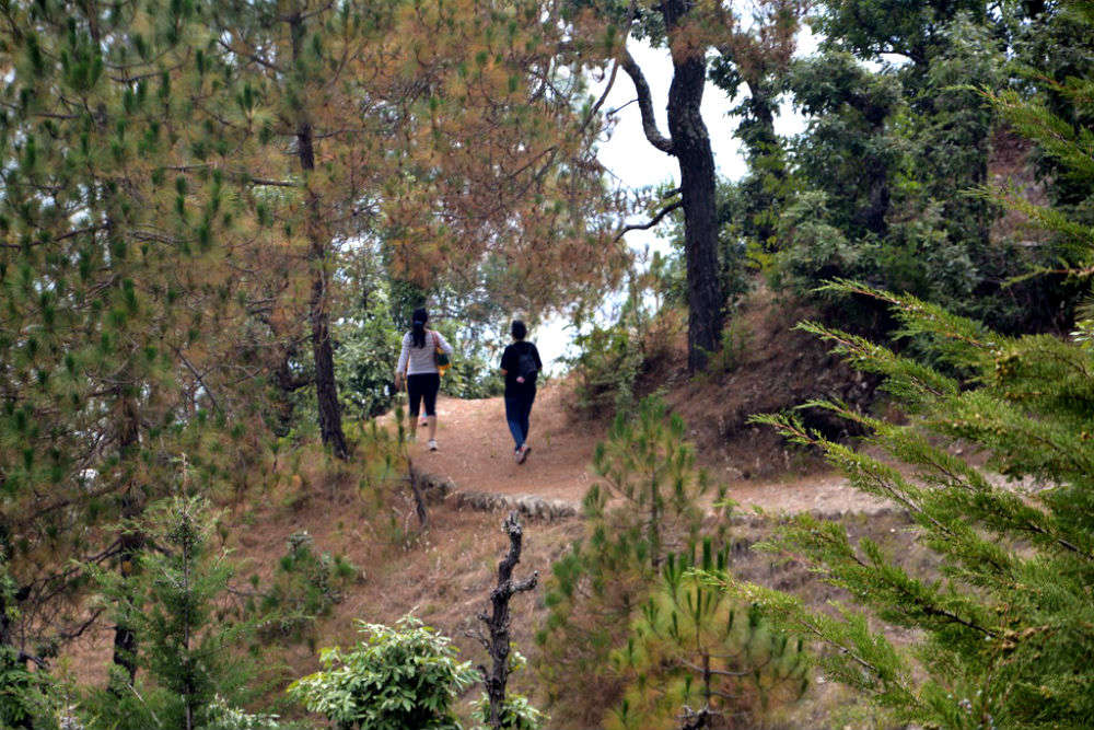 Forest walk and visit to colonial Bungalow (now a PWD rest house)