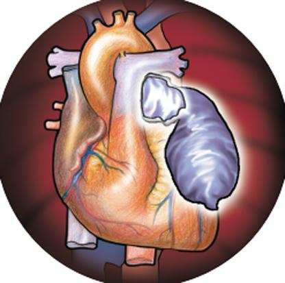 Heart comes for free but transplant cost hits patients | Bengaluru News ...