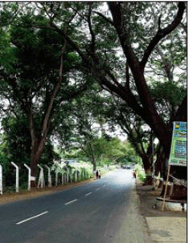 Aarey set to lose 62 hectare to car shed for Metro 3 ...