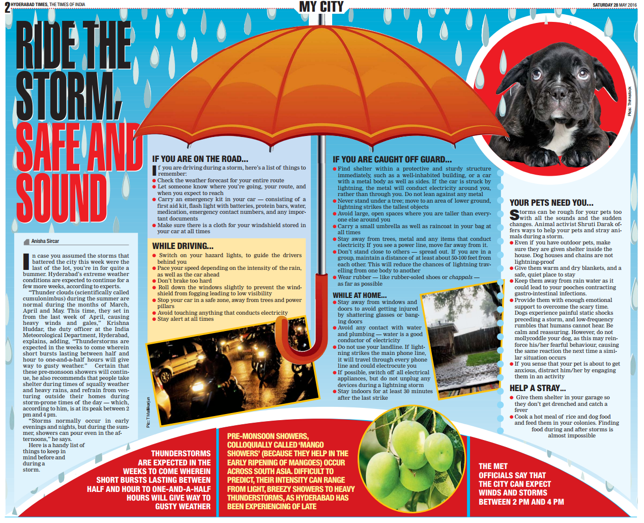 Is A Garage Too Hot For A Dog