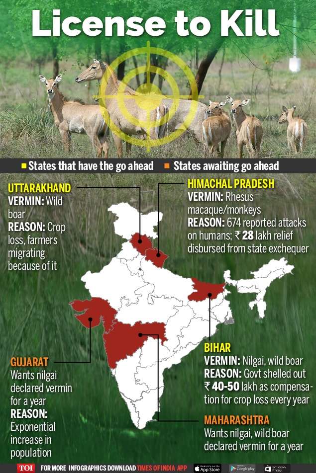 5 states seek nod to cull certain wild animals | India News - Times of India