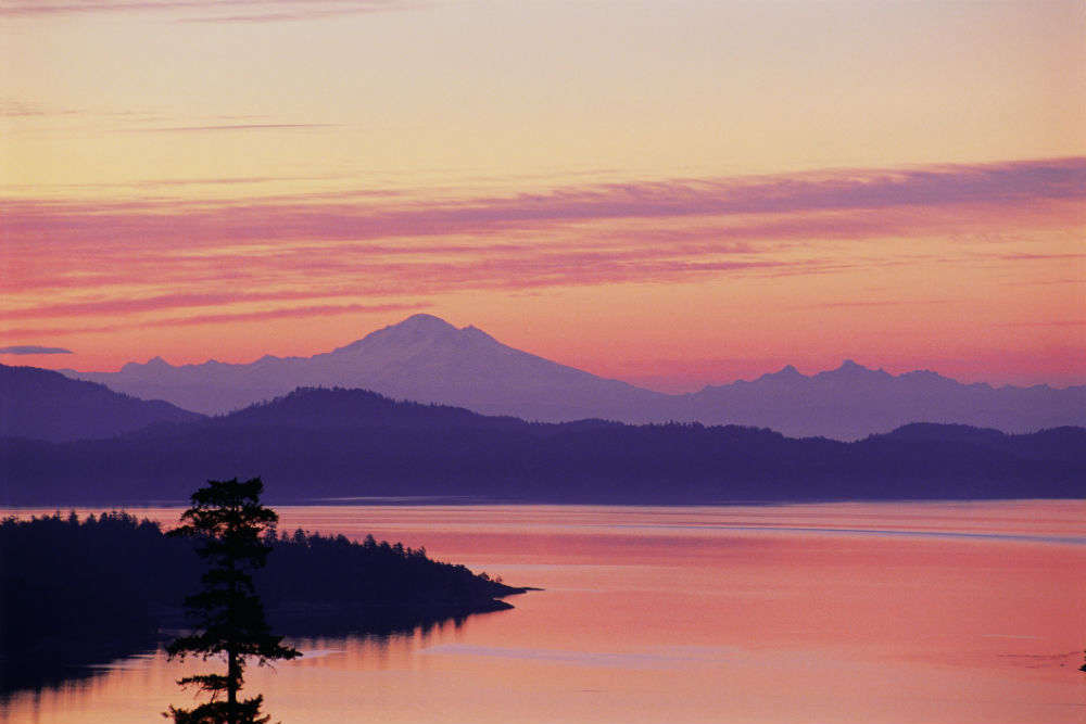 San Juan Islands: where craft beer and killer whales go hand in hand