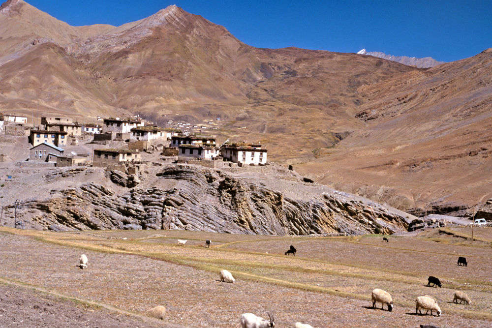 10 offbeat things to do in Spiti